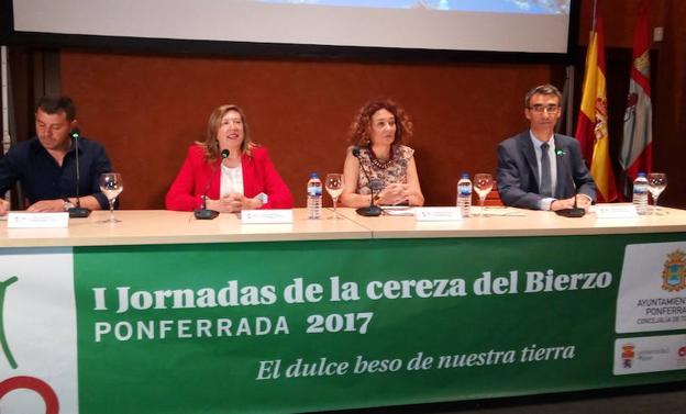 La alcaldesa de Ponferrada, Gloria Fernández Merayo, (2I), junto a la edil de Cultura, el presidente de la ABA y el vicerrector del Campus en la inauguracion de las jornadas.