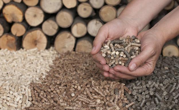 Forestalia impulsa la apertura de una central de biomasa en el polígono del Bayo de Cubillos del Sil.