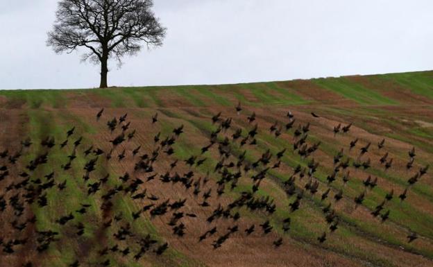 Uno de los lugares por los que cruzará el AVE británico./Reuters