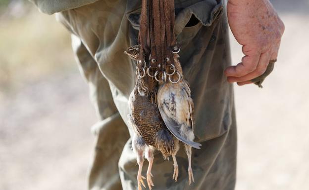 Un cazador en el inicio de la media veda.