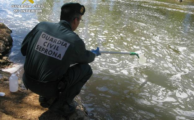 Vertidos en el río Tuerto producidos este verano./