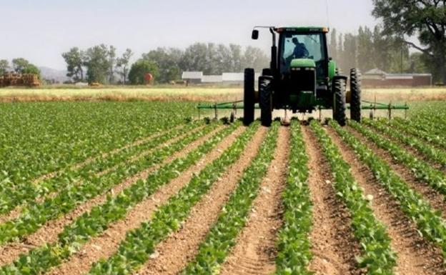 UCCL pide que se publique la convocatoria para incorporarse a la agricultura ecológica
