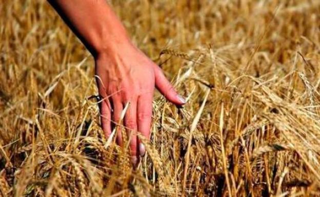 Asaja reúne en La Bañeza a 180 jóvenes agricultores y ganaderos en una convención reivindicativa