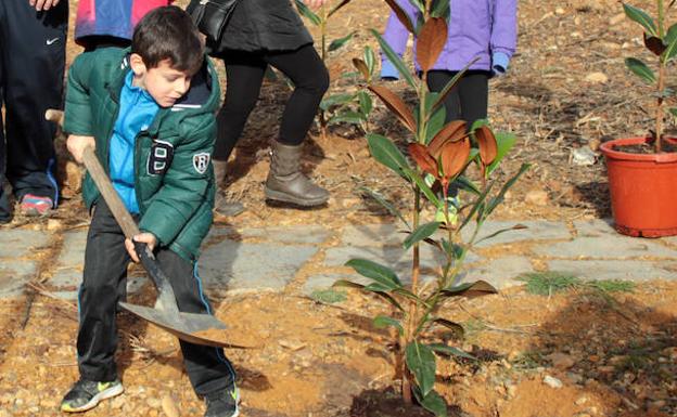 Un niño colabora en la plantación de la nueva zona verde. /
