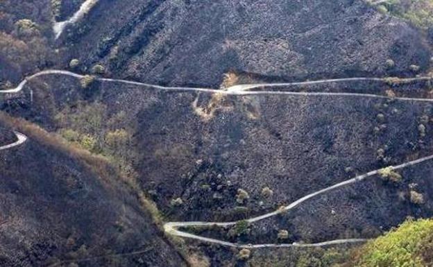 Incendio en la Tebaida berciana./