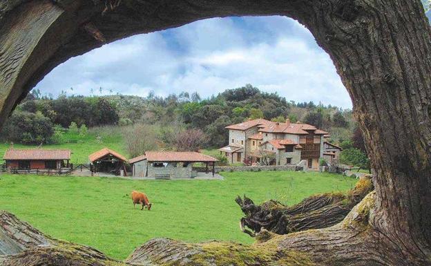 Las pernoctaciones rurales caen medio punto en León en el mes de noviembre hasta los 8.540 viajeros
