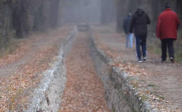 Un grupo de personas camina junto a la acequia de riego completamente seca/Efe