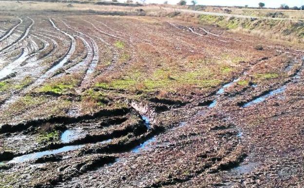 La Junta aplaza un año la aplicación de la nueva orden de purines