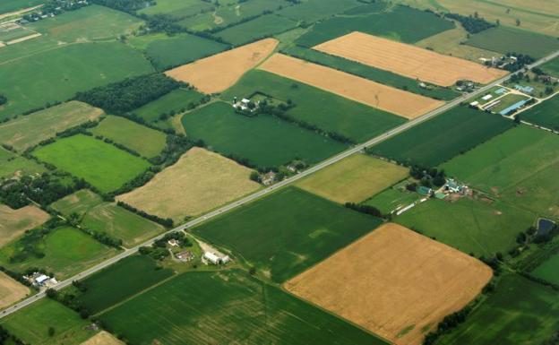 La Junta invertirá más de 2,8 millones para concluir dos concentraciones parcelarias en la provincia