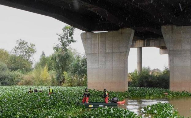 La UME trabaja en la retirada del camalote en el río Guadiana.