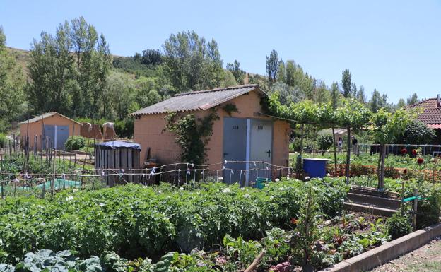Los 176 huertos urbanos de León sirven de refugio y entretenimiento para cientos de leoneses.
