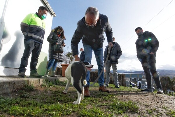 El alcalde de Ponferrada visita el albergue canino municipal.