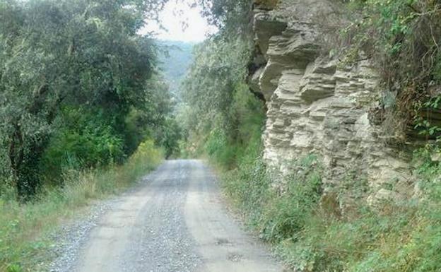 Imagen del camino de San Vicente hacia Vega de Espinareda.