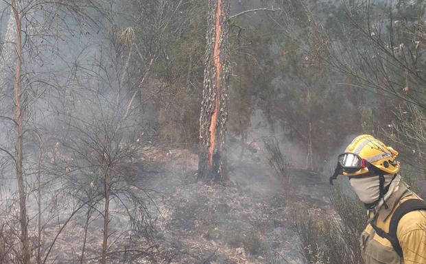 Un rayo cae sobre un árbol en Arganza, que este doming oregistra un incendio como el provocado por este rayo el pasado miércoles.