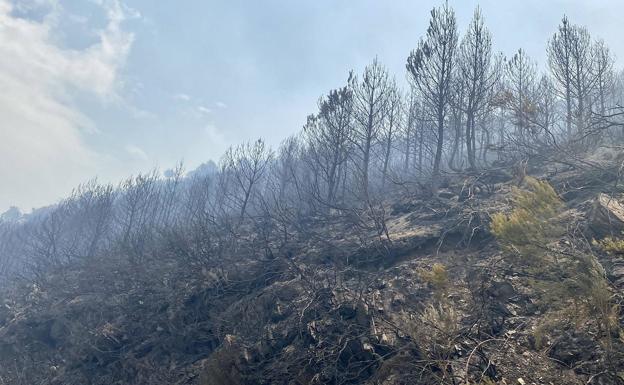 Imagen del incendio en Montes de Valdueza./JLB