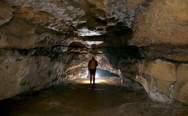 Cueva de Atxurra, donde se descubrieron en 2016 más de 70 grabados de animales del paleolitico superior /Archivo