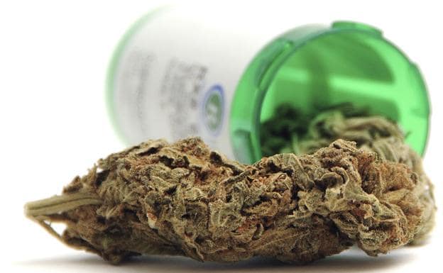 El cannabis terapéutico forman parte de la investigación./