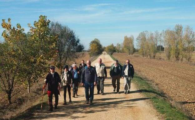 Ambas asociaciones disfrutan de un recorrido por la Calzada./