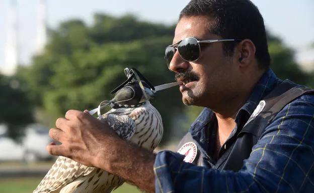 Uno de los responsables de la organización pakistaní que acoge y recupera a los halcones /AFP