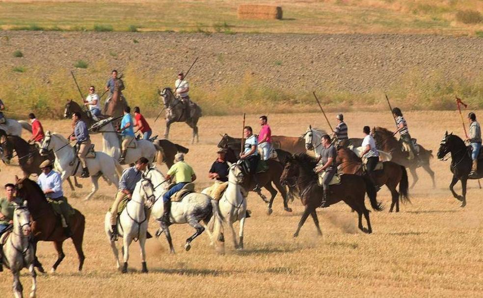 Encierro por el campo en La Pedraja de Portillo./