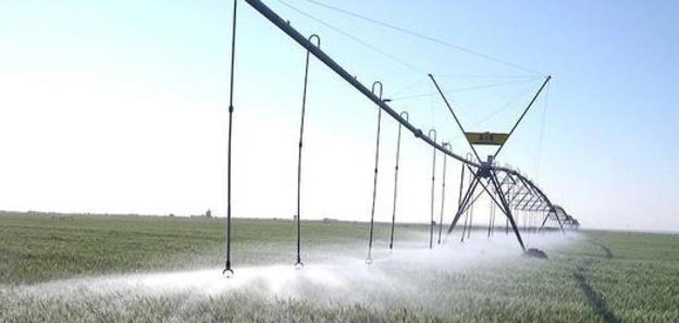 El regadío crece en la comunidad hasta las 463.148 hectáreas y gana casi 75.000 la última década, aunque representa el 13% de la superficie cultivada - Vimarsana News