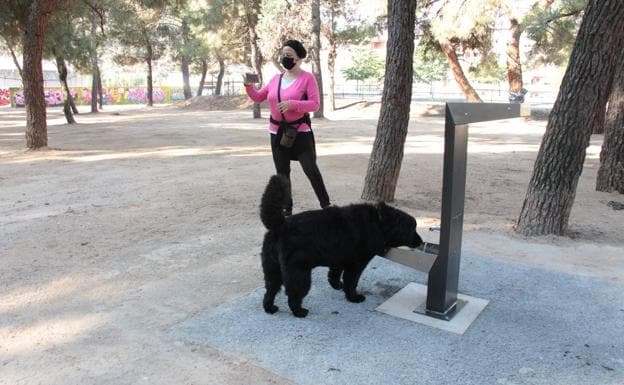 La nueva área canina cuenta con dos fuentes de agua potable.