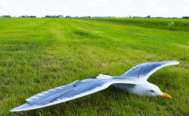 Un dron con forma de pájaro para uso lúdico/ The drone bird Company